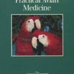 Practical Avian Medicine PDF