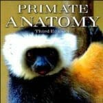 Primate Anatomy: An Introduction, 3rd Edition