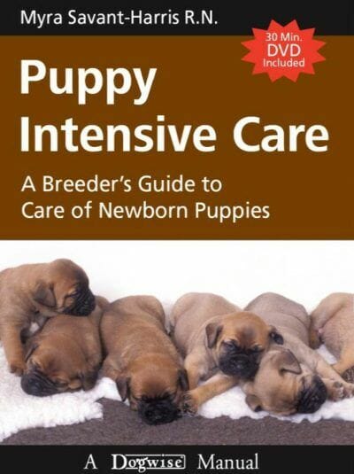 Puppy Intensive Care – A Breeder’s Guide To Care of Newborn Puppies