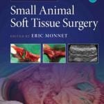 Small Animal Soft Tissue Surgery, 2nd Edition PDF Download