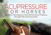 Acupressure for Horses: Hands-On Techniques to Solve Performance Problems and Ease Pain and Discomfort