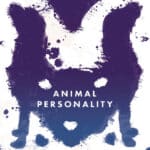 Animal Personality: The Science Behind Individual Variation