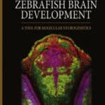 Atlas of Early Zebrafish Brain Development 2nd Edition
