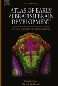Atlas of Early Zebrafish Brain Development 2nd Edition