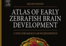 Atlas of Early Zebrafish Brain Development 2nd Edition