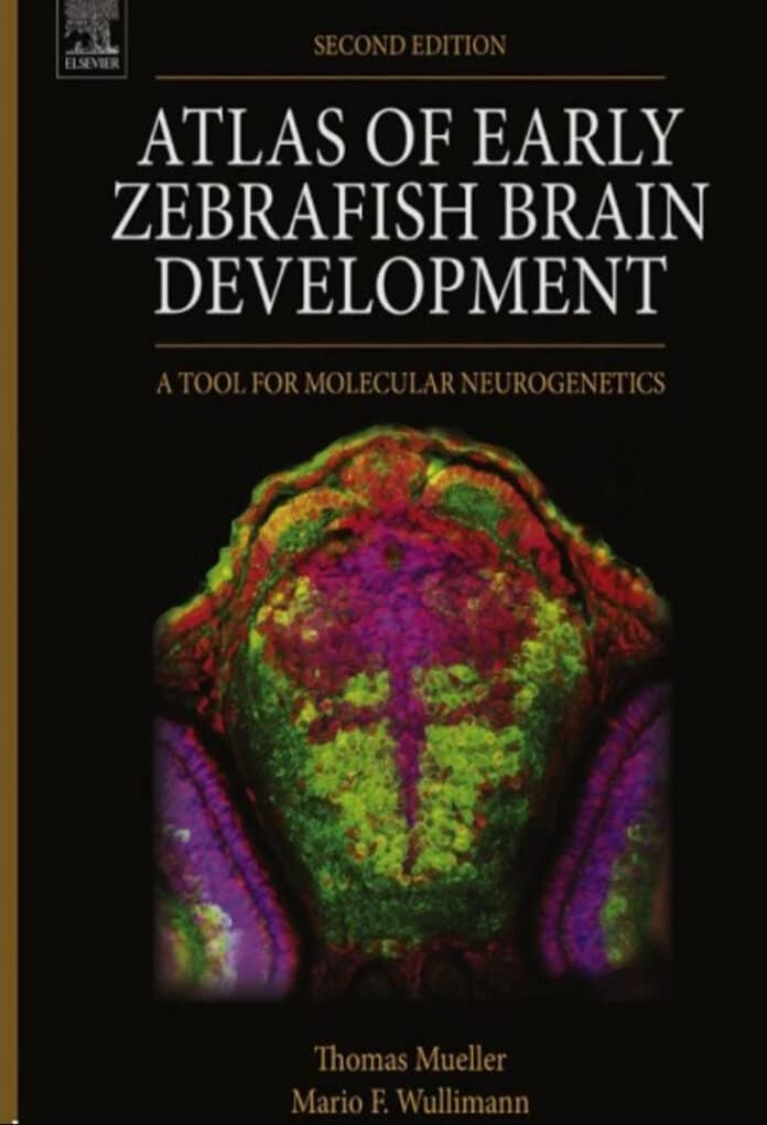 Atlas of Early Zebrafish Brain Development 2nd Edition