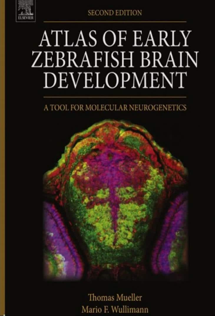 Atlas Of Early Zebrafish Brain Development 2Nd Edition Pdf Download