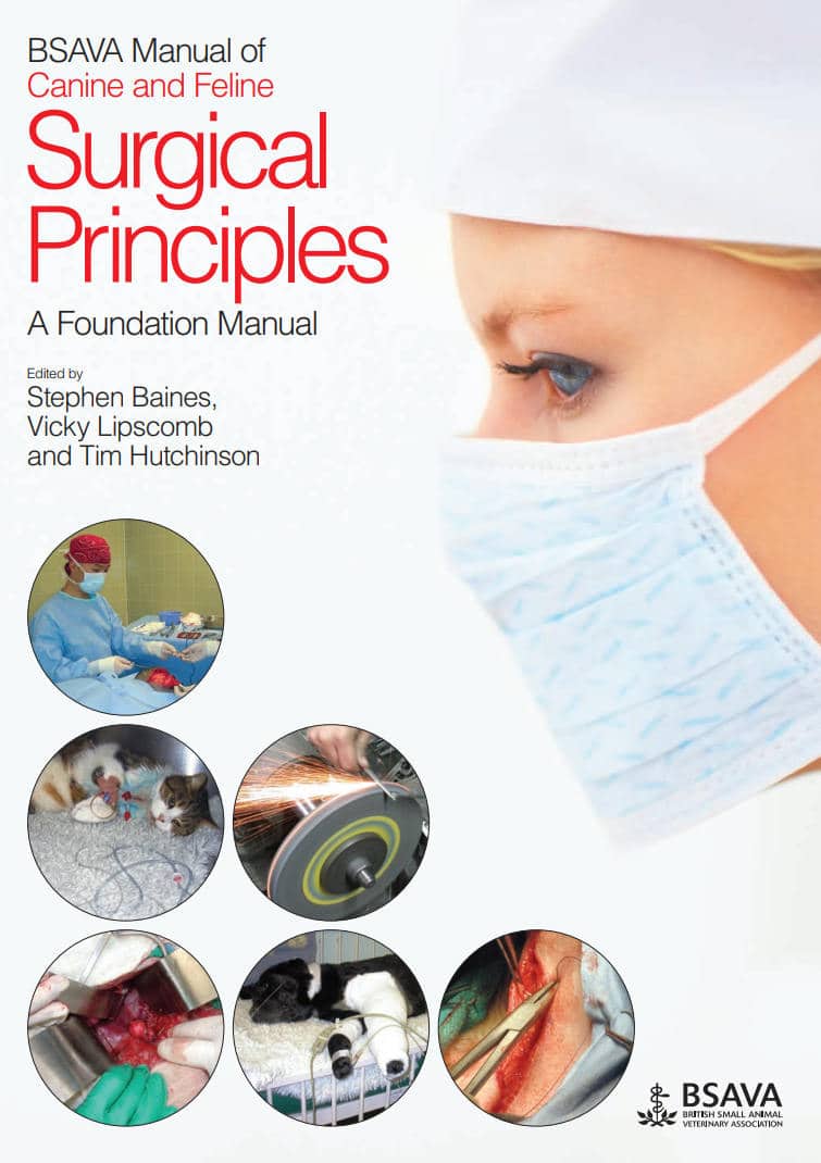 Bsava Manual Of Canine And Feline Surgical Principles: A Foundation Manual Pdf Download