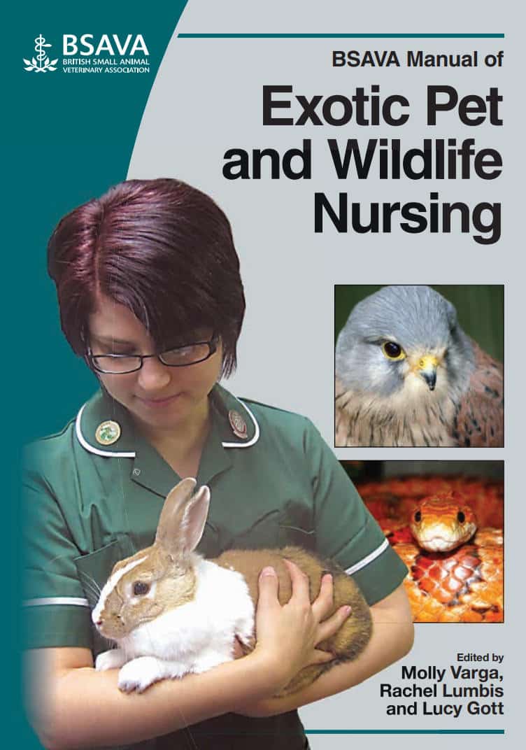 Bsava Manual Of Exotic Pet And Wildlife Nursing Pdf Download