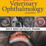 Color Atlas of Veterinary Ophthalmology, 2nd Edition
