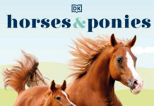 Horses & Ponies: Everything You Need to Know, From Bridles and Breeds to Jodhpurs and Jumping!