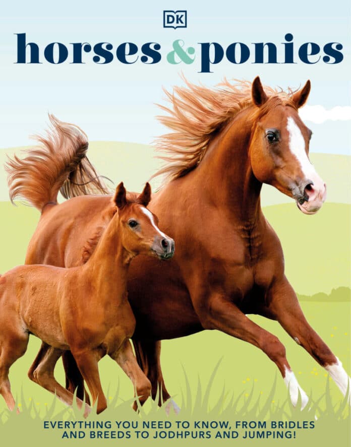 Horses & Ponies: Everything You Need to Know, From Bridles and Breeds to Jodhpurs and Jumping!