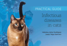 Infectious Diseases in Cats. Practical Guide