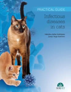 Infectious Diseases In Cats. Practical Guide