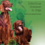 Infectious diseases in dogs. Practical Guide
