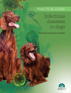Infectious Diseases In Dogs. Practical Guide