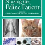 Nursing the Feline Patient Nursing the Feline Patient