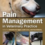 Pain Management in Veterinary Practice