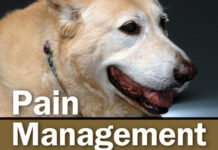 Pain Management in Veterinary Practice Pain Management in Veterinary Practice