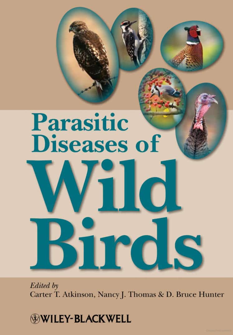 Parasitic Diseases Of Wild Birds Pdf Download