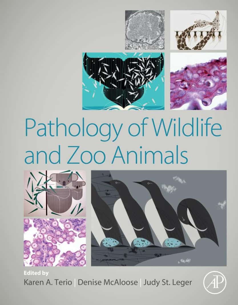 Pathology Of Wildlife And Zoo Animals Pdf Download