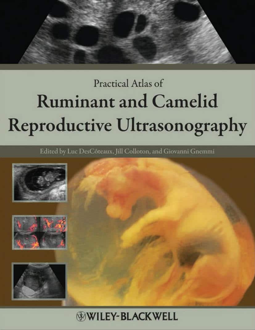 Practical Atlas Of Ruminant And Camelid Reproductive Ultrasonography Pdf Download