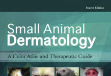 Small Animal Dermatology 4th Edition: A Color Atlas and Therapeutic Guide Small Animal Dermatology 4th Edition: A Color Atlas and Therapeutic Guide