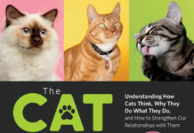 The Cat Behavior Answer Book