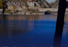 The Diverse Faces of Bacillus Cereus The Diverse Faces of Bacillus Cereus