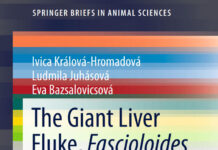 The Giant Liver Fluke, Fascioloides Magna: Past, Present and Future Research
