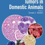 Tumors in Domestic Animals 5th Edition Tumors in Domestic Animals 5th Edition