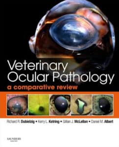 Veterinary Ocular Pathology A Comparative Review Veterinary Ocular Pathology A Comparative Review