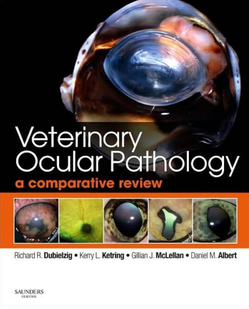 Veterinary Ocular Pathology A Comparative Review Pdf Download