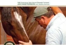 Beyond Horse Massage: A Breakthrough Interactive Method for Alleviating Soreness, Strain, and Tension PDF