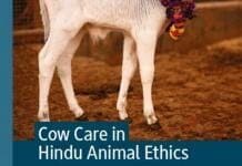 Cow Care In Hindu Animal Ethics PDF