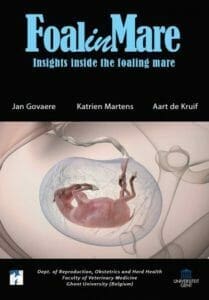 Foal-in-mare-insights-inside-the-foaling-mare