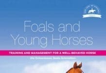 Foals and Young Horses: Training and Management for a Well-behaved Horse PDF