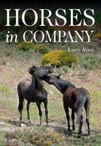 Horses In Company Pdf