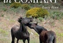 Horses in Company PDF