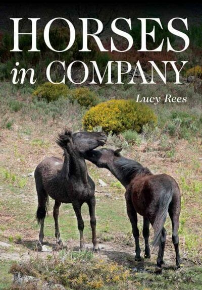 Horses in Company PDF