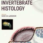 Invertebrate-Histology
