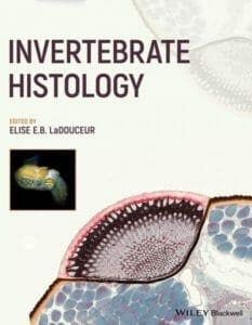 Invertebrate-Histology