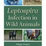 Leptospira-Infection-in-Wild-Animals