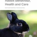 Rabbit-Behaviour-Health-and-Care