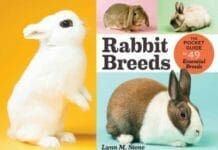 Rabbit Breeds, The Pocket Guide to 49 Essential Breeds PDF