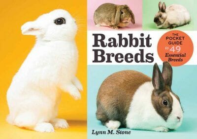 Rabbit Breeds, The Pocket Guide to 49 Essential Breeds PDF