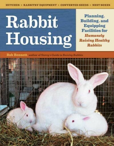 Rabbit Housing Planning, Building, and Equipping Facilities for Humanely Raising Healthy Rabbits