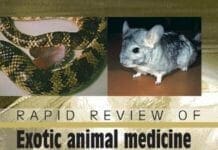 Rapid Review of Exotic Animal Medicine and Husbandry PDF