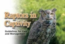 Raptors in Captivity, Guidelines for Care and Management pdf