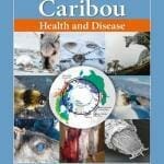 Reindeer-and-Caribou-Health-and-Disease